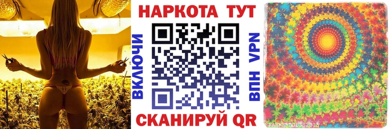 Купить Ясный A-PVP  KRAKEN как зайти  ГАШ  Марихуана  Меф 
