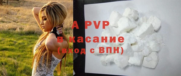 мяу мяу мука Михайлов