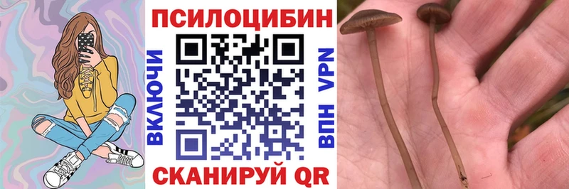 Галлюциногенные грибы мухоморы  купить наркотик  Ясный 